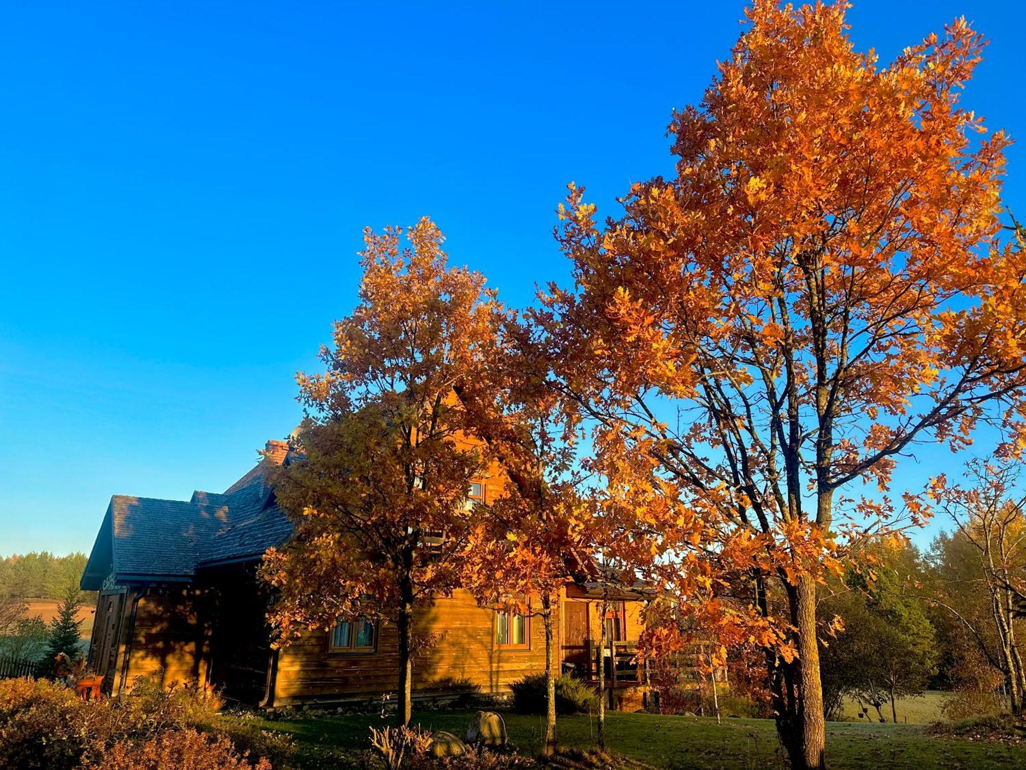 Hotel Dolina Sarenek Sejny Exteriér fotografie